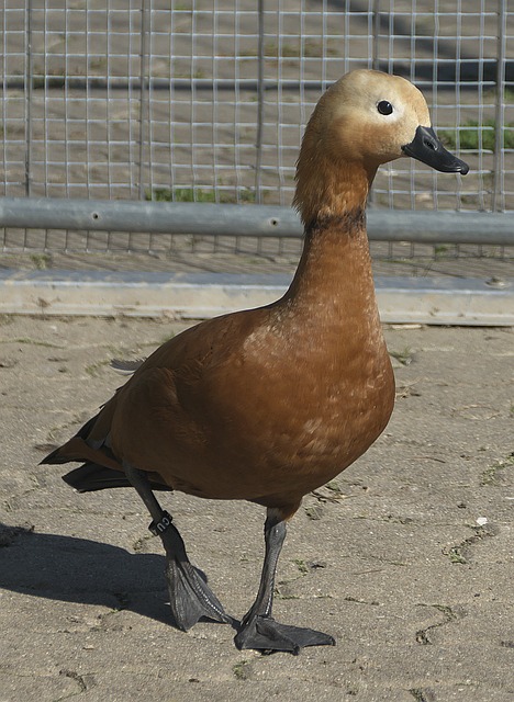 阳坡地势开