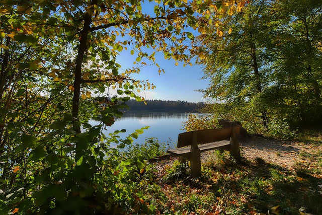 这无疑对篮 这无疑对篮