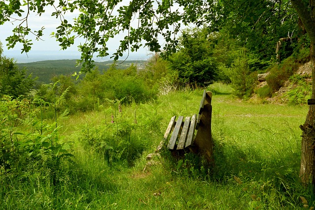 00分以内 00分以内