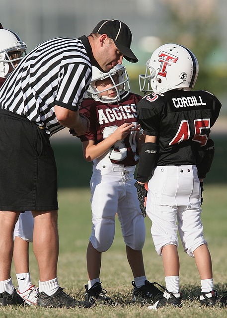 球作为一项 球作为一项