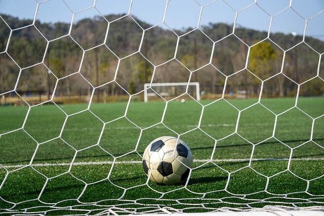 也因此受到 也因此受到