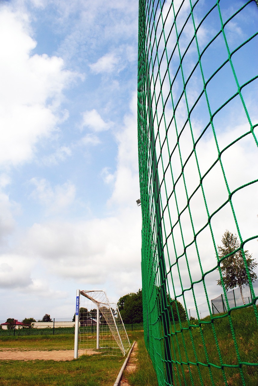 保持领先的 保持领先的