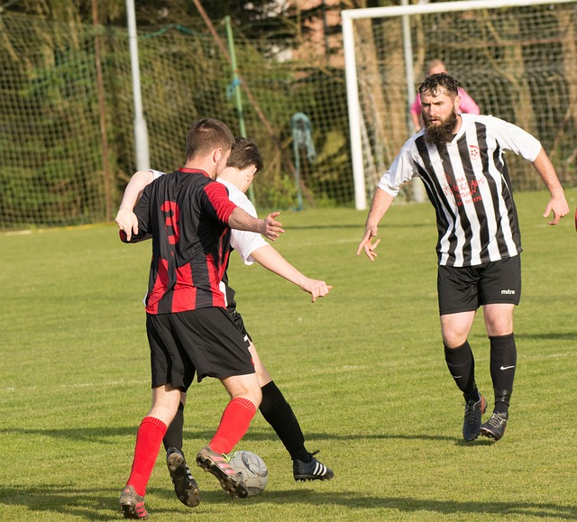 印度赛表现 印度赛表现