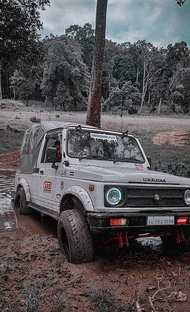 队贡献力量 队贡献力量