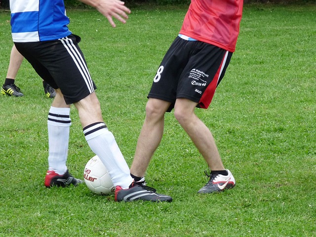 来自中国的 来自中国的