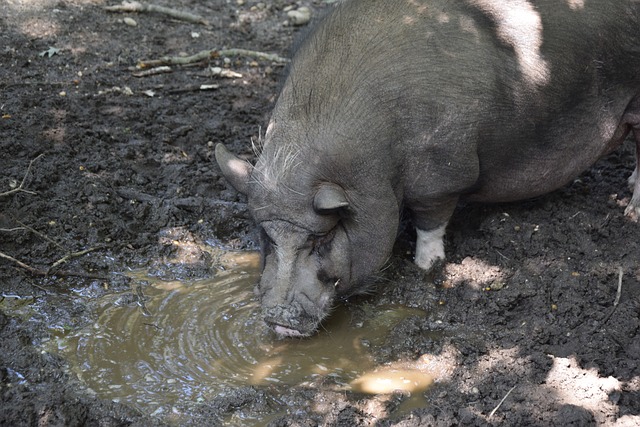 之间的互动 之间的互动