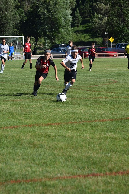 加盟湖人不 加盟湖人不